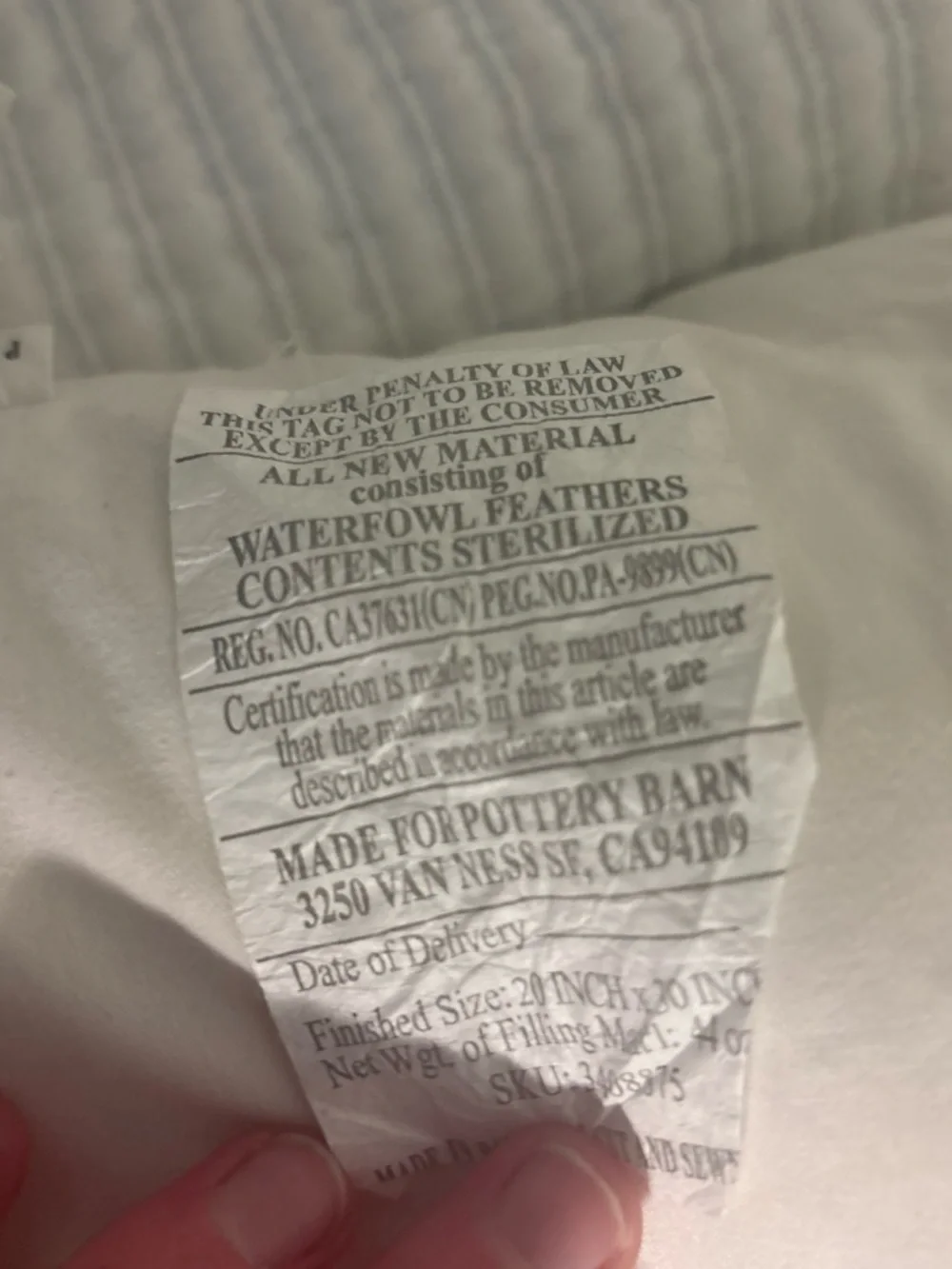 Pottery Barn Classic White Feather Pillow – Soft Cotton Cover (White)